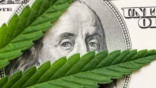 The Green Revolution: Unveiling the Financial Benefits of Legalizing Cannabis - RealBud Camo