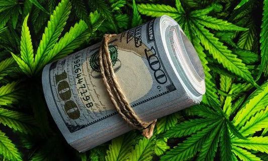 The Cannabis Boom: Exploring the Phenomenal Tax Returns in Newly Legalized States - RealBud Camo